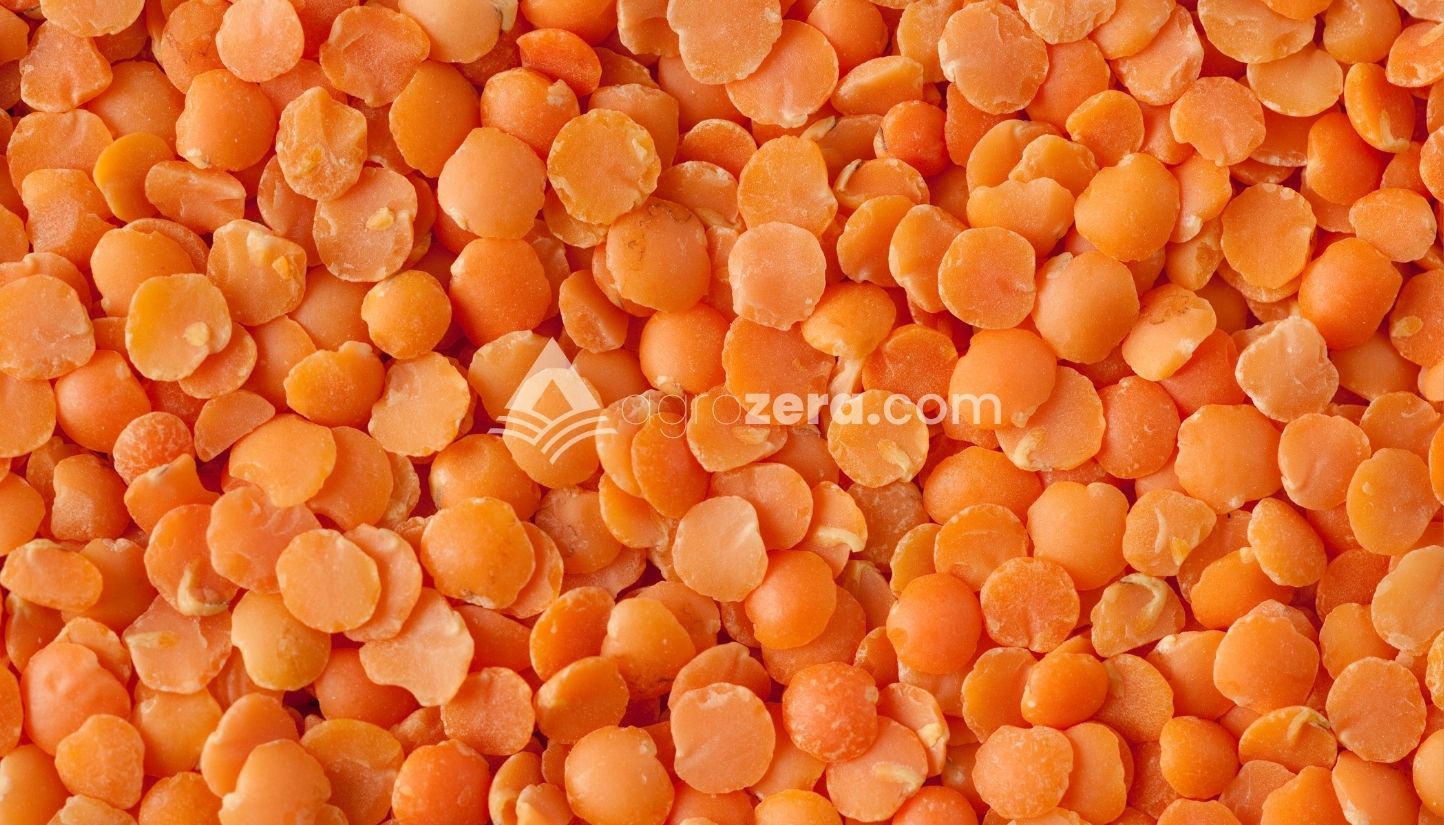 Agro Zera